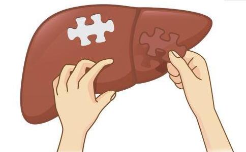 夏季乙肝患者如何養肝